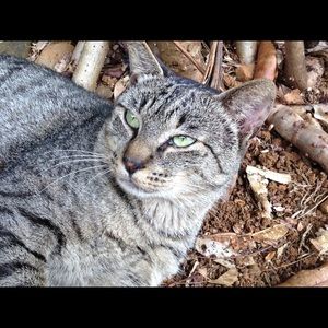 Meet your Posher, Sharon